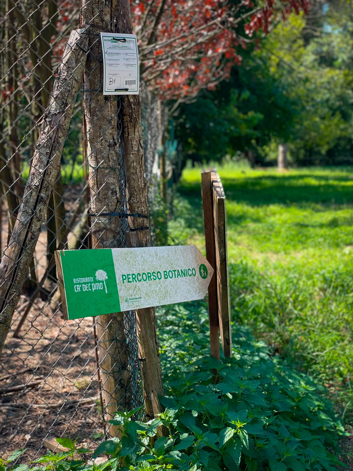 CA DEL PINO (10)